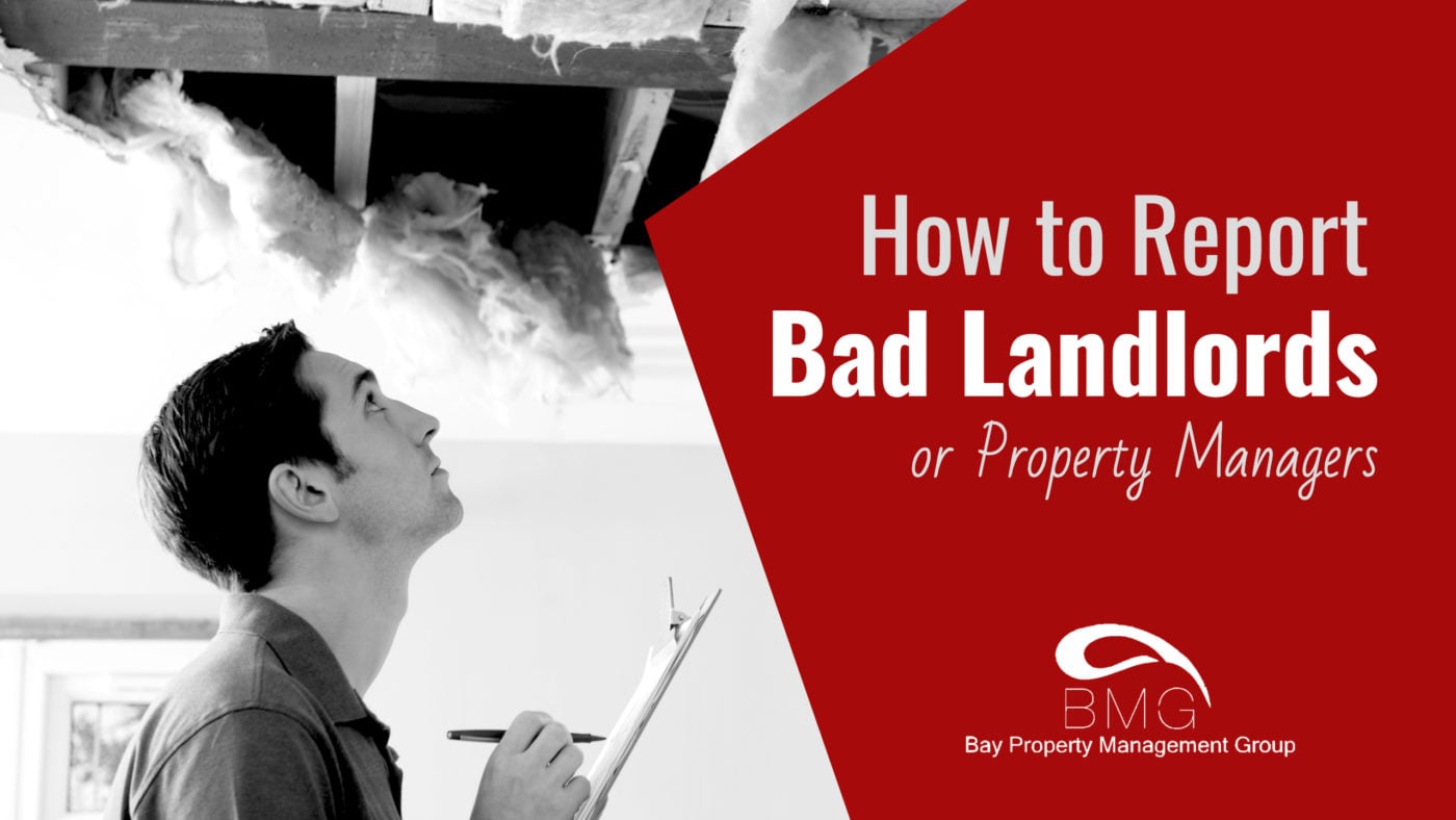 report-bad-landlords-property-managers