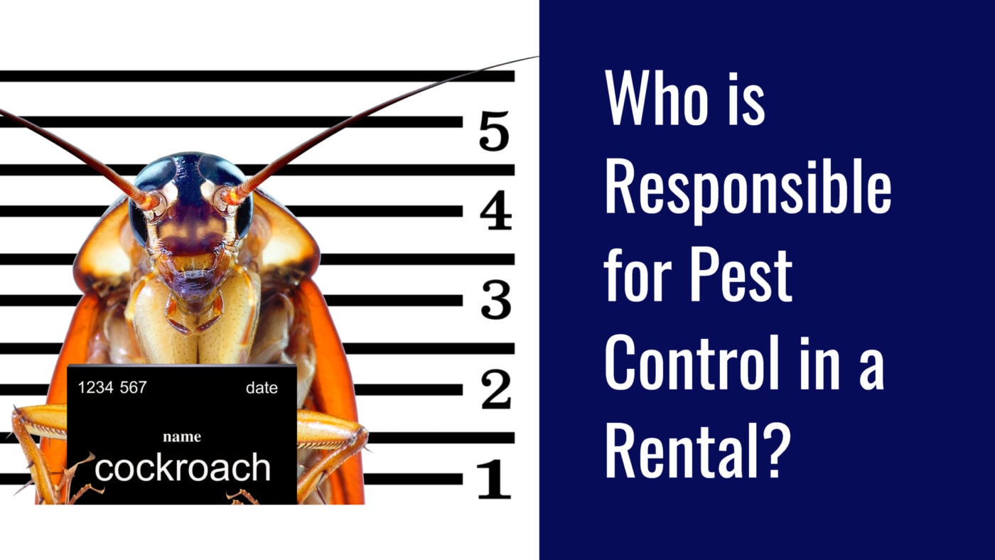 pest-control-responsibility