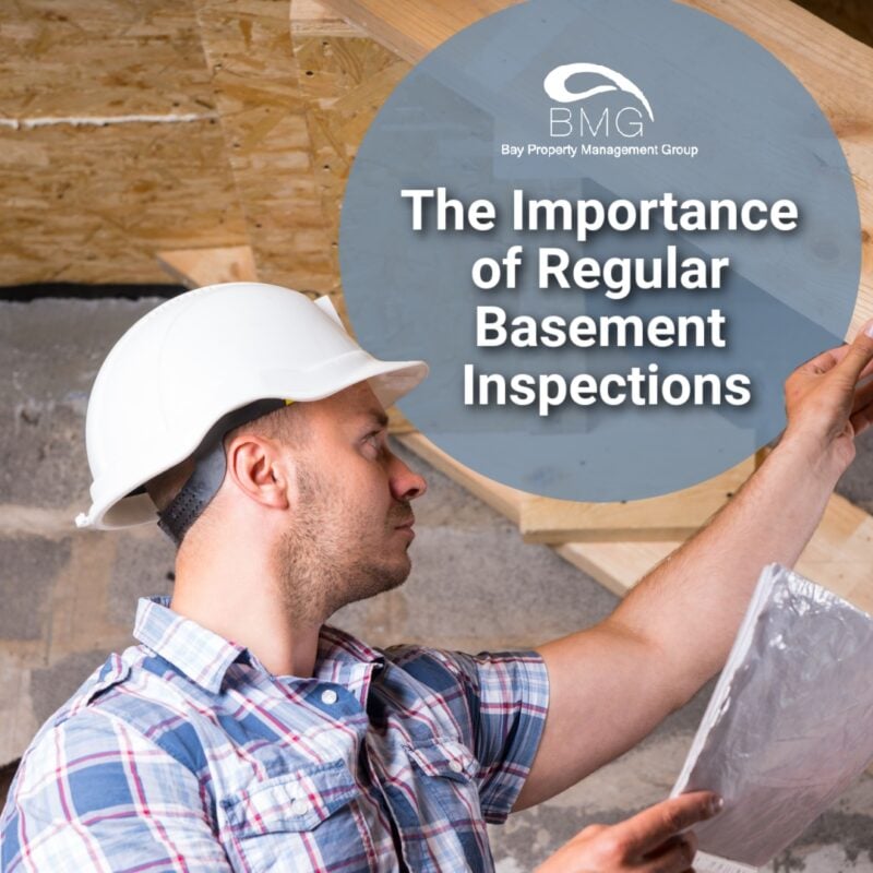Regular-Basement-Inspections
