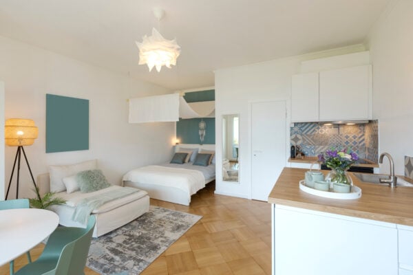small apartment with open layout and functional furniture for efficient living
